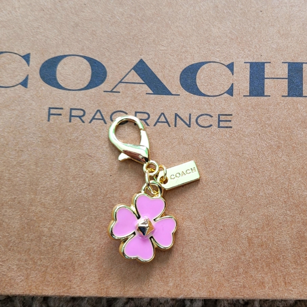 Coach - Picture 2 of 7